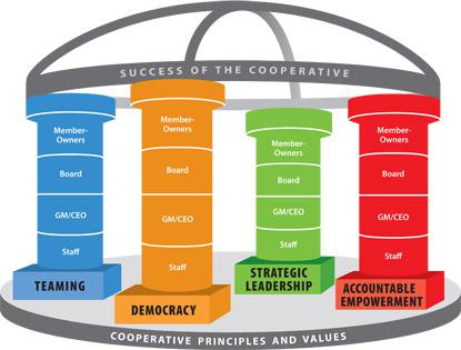 illustration of the cooperative principles and values